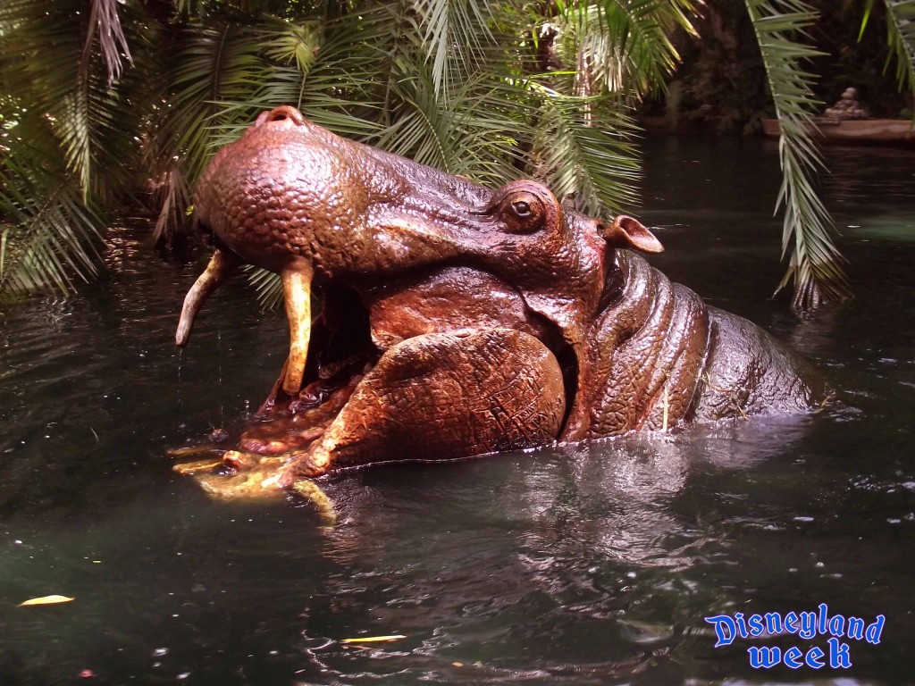 Hungry, Hungry Hippo on the Jungle Cruise at Disneyland Resort