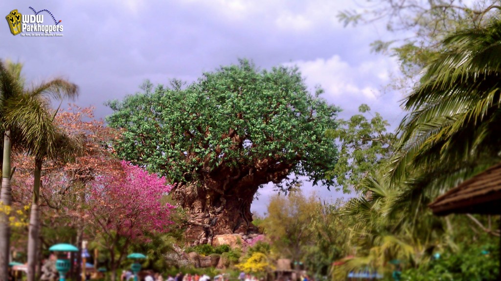 Tree of Life Disney's Animal Kingdom Walt Disney World Resort