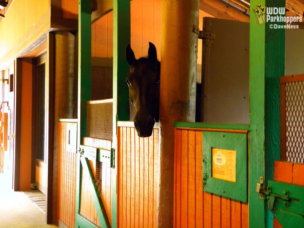Horse in Stable at Tri-Circle-D Ranch Fort Wilderness Camground and Resort Walt Disney World Resort